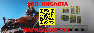 индика Лесосибирск