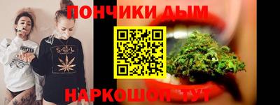 индика Лесосибирск