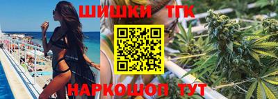 индика Лесосибирск