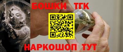 индика Лесосибирск