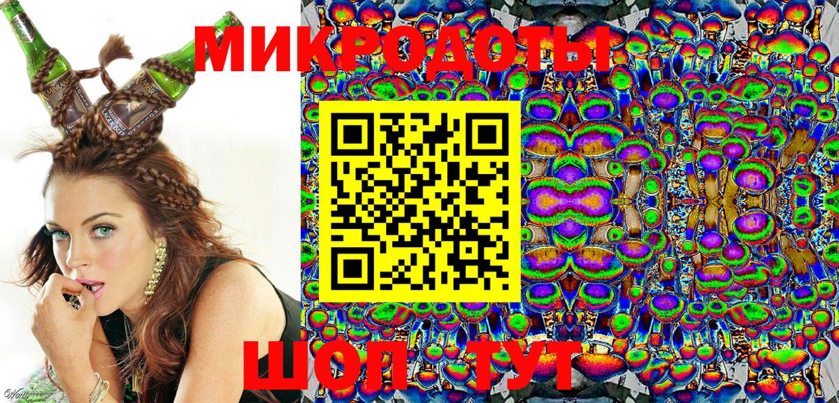 Псилоцибиновые грибы Psilocybe Губкинский