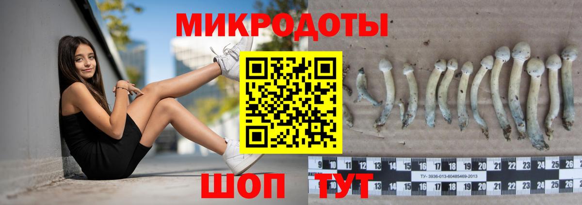 Псилоцибиновые грибы мухоморы  Вход с VPN  Губкинский 